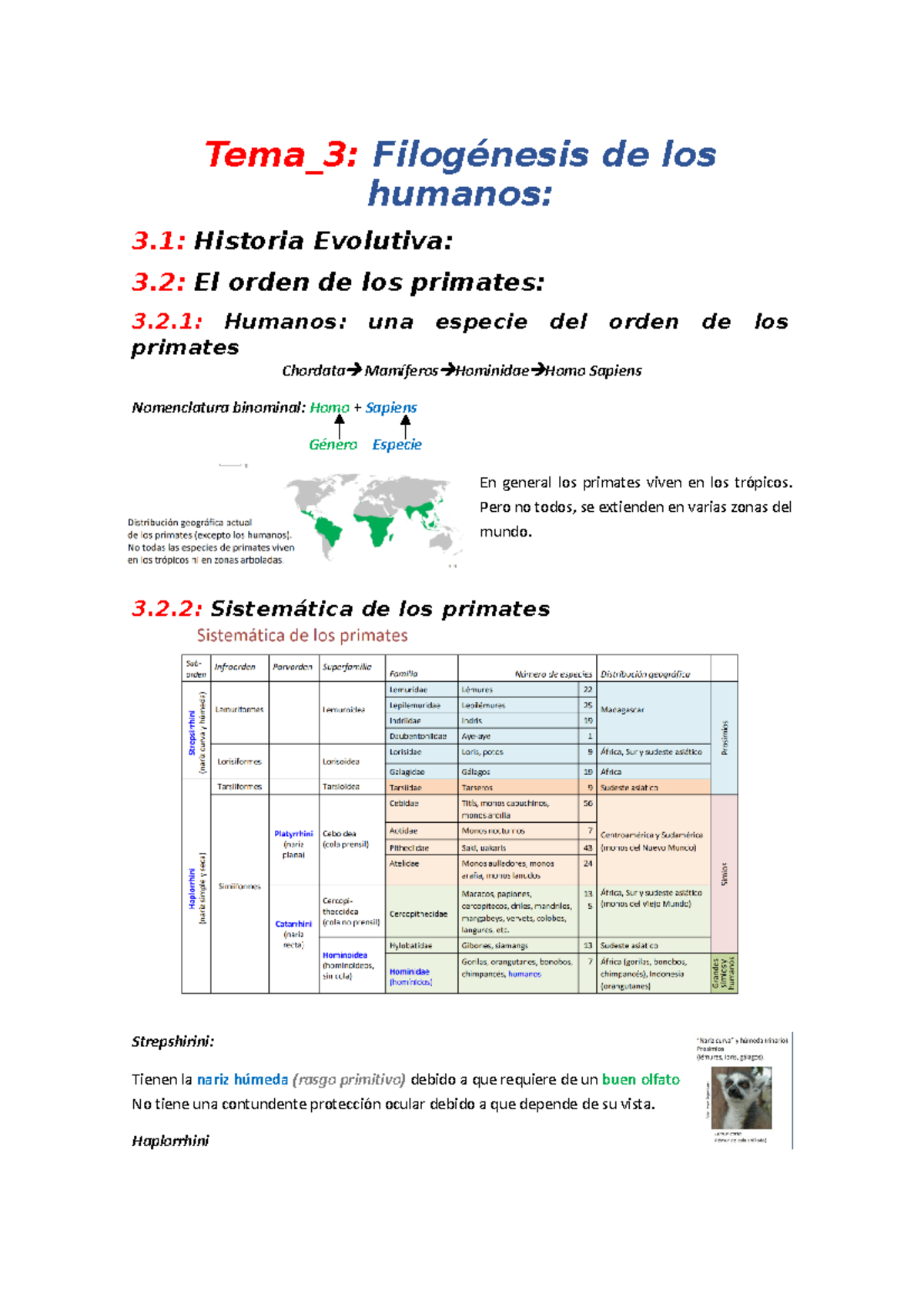 Tema 3 - Tema_3: Filogénesis de los humanos: 3: Historia Evolutiva: 3 ...