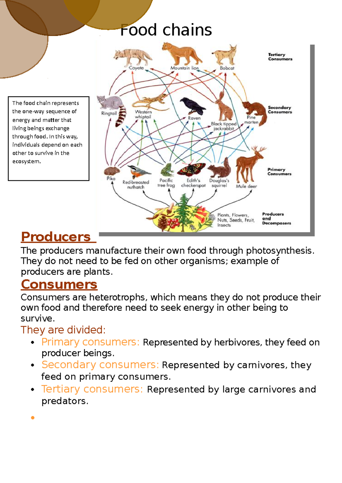 Food chain - science - Food chains Producers The producers manufacture ...