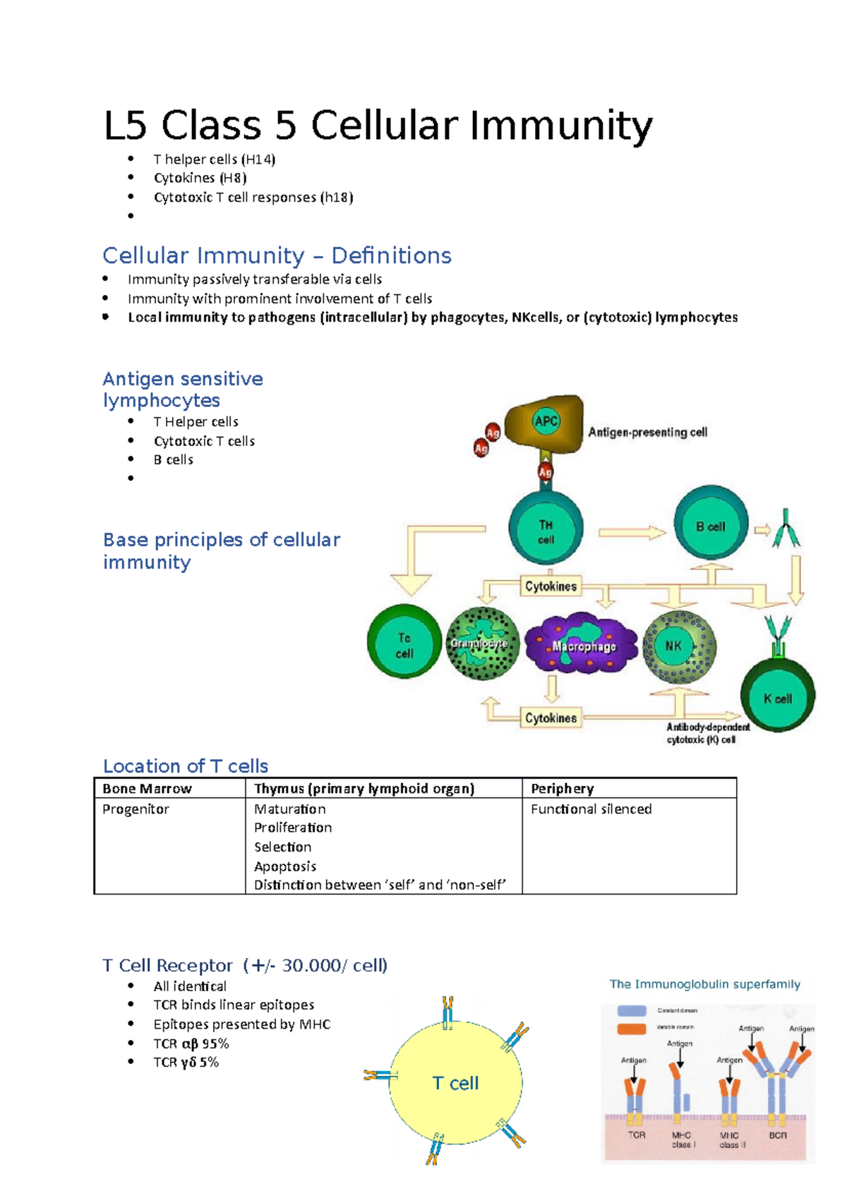 L5 Class 5 Cellular Immunity - L5 Class 5 Cellular Immunity T Helper ...