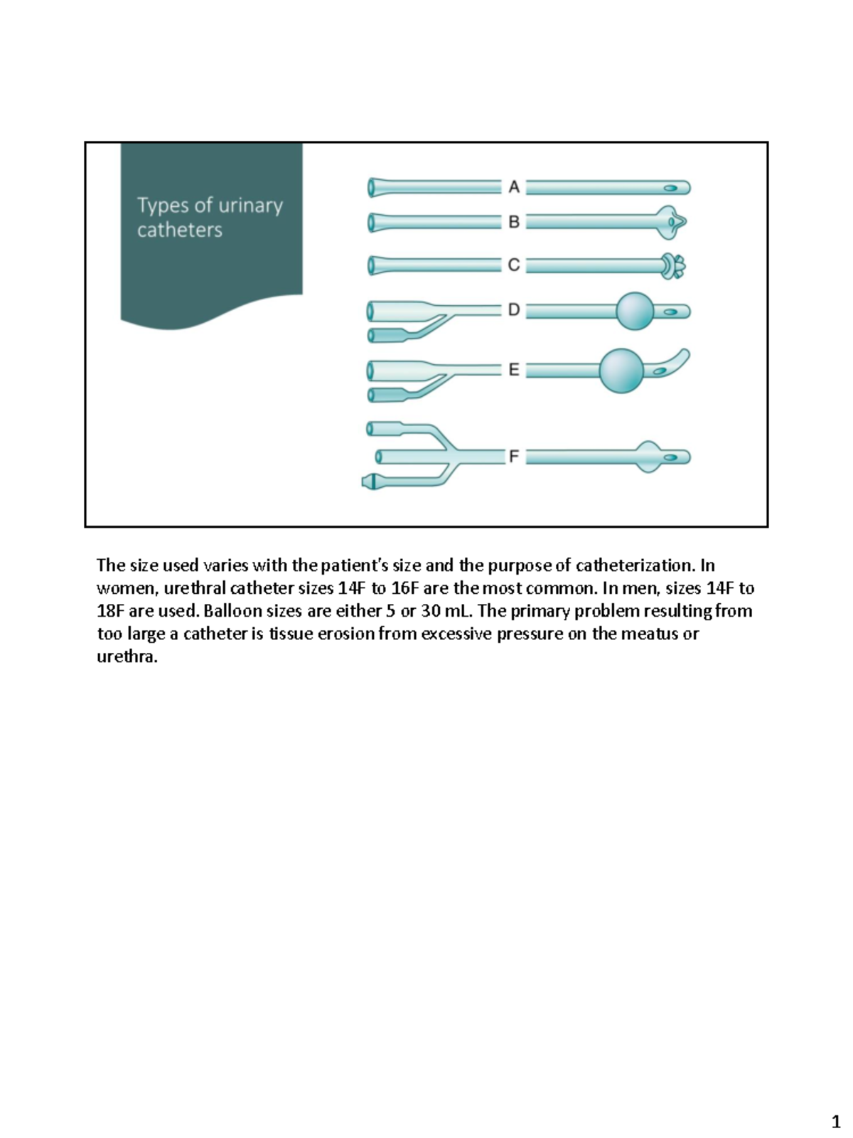 urethral catheter sizes