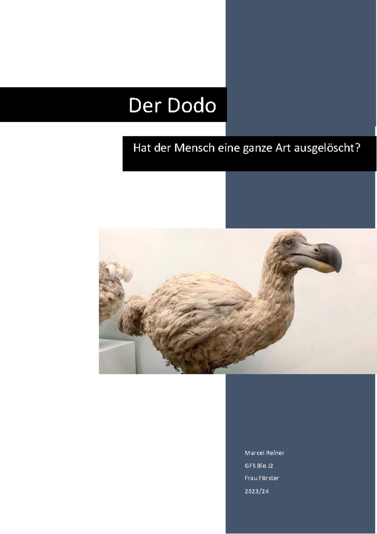 Dodo Entdeckung – Das Dodo Heute – ARAMC