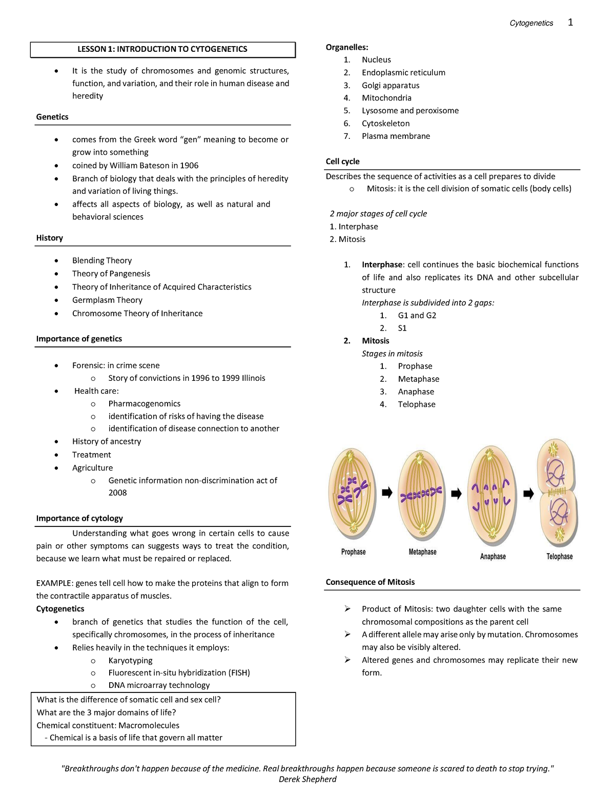 Cytogenetics - Introduction - "Breakthroughs Don't Happen Because Of ...