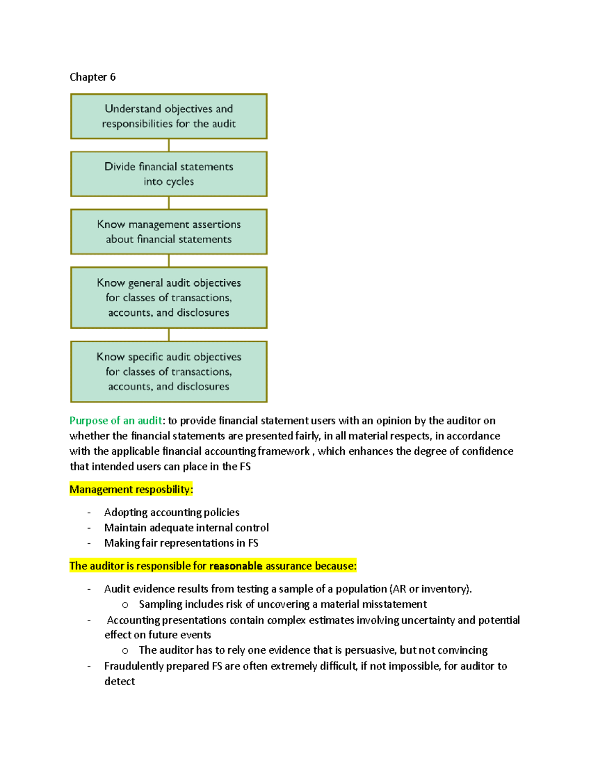 chapter-6-audit-responsibilities-and-objectives-chapter-6-purpose-of