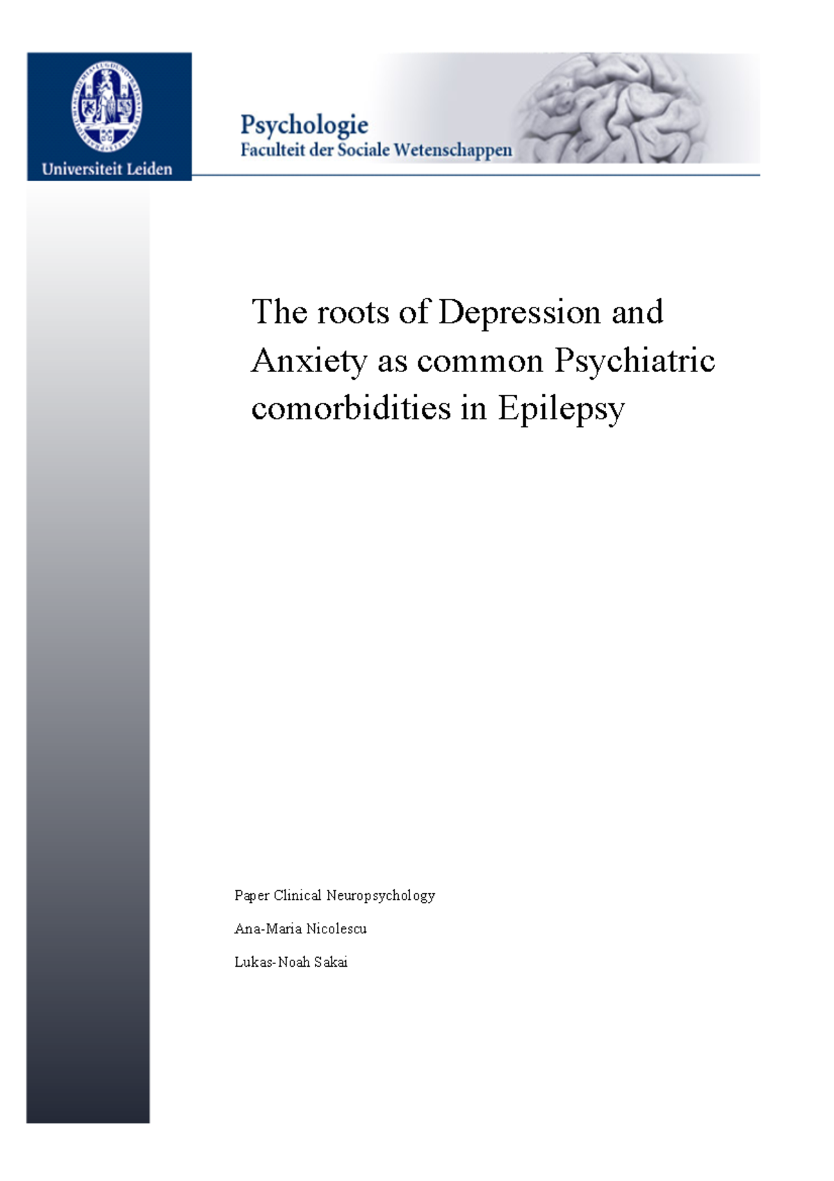 systematic literature review of psychiatric comorbidities in adults with epilepsy