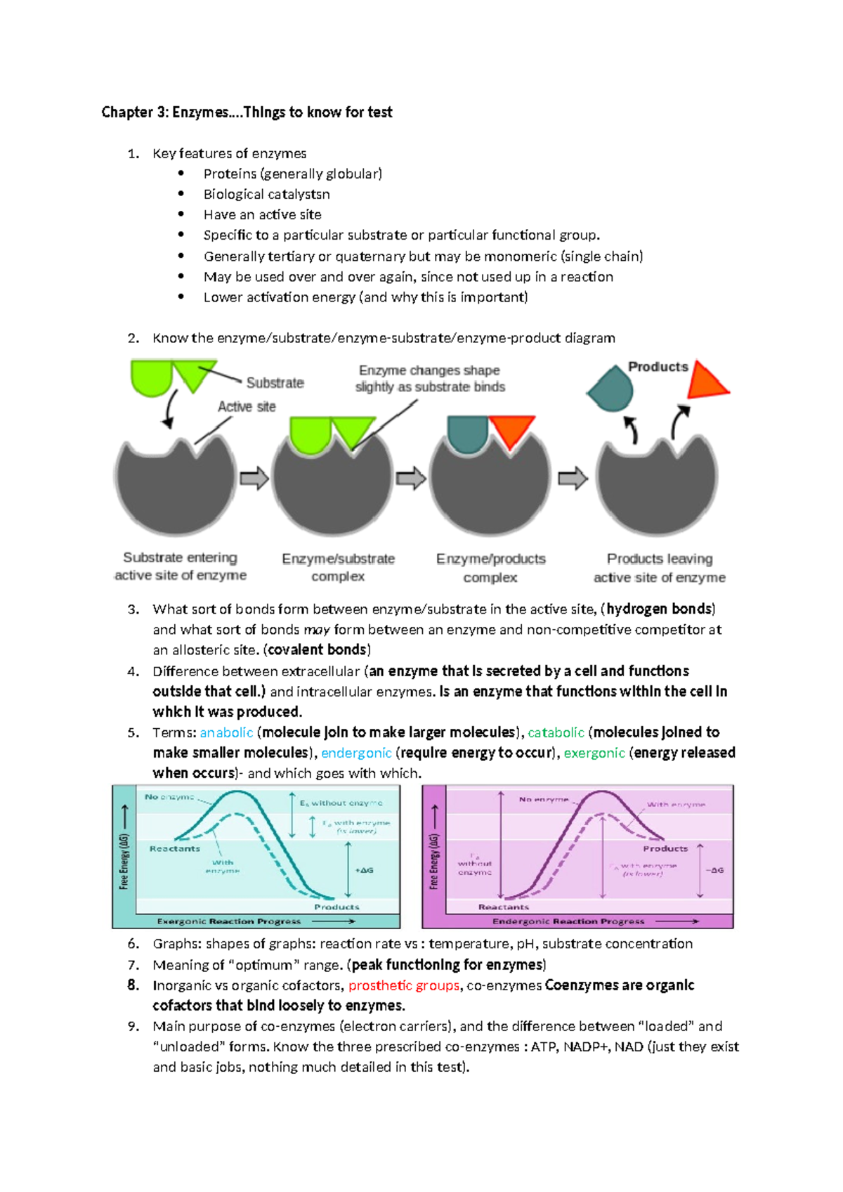 Chapter 3 Things to know for test - Chapter 3: Enzymes... to know for ...