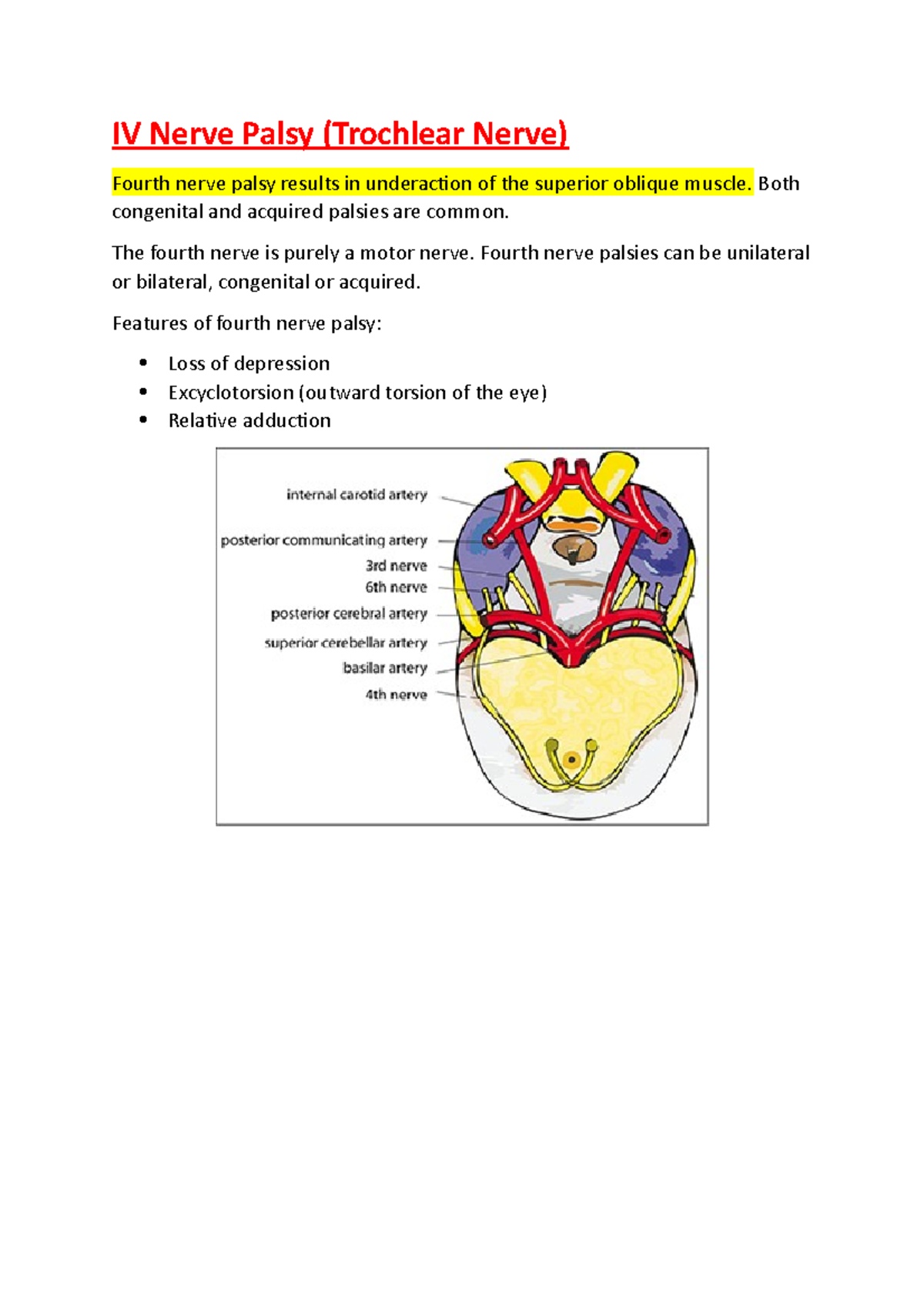 IV Nerve Palsy notes - IV Nerve Palsy (Trochlear Nerve) Fourth nerve ...