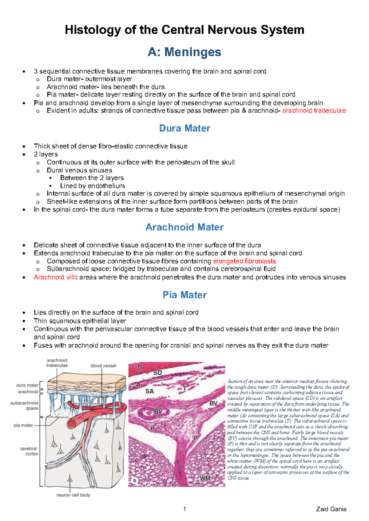 6. CNS Histology - 1 Zaid Ganie Histology of the Central Nervous System ...
