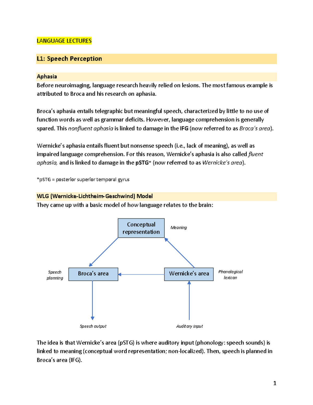 Language - summary - LANGUAGE LECTURES L1: Speech Perception Aphasia ...