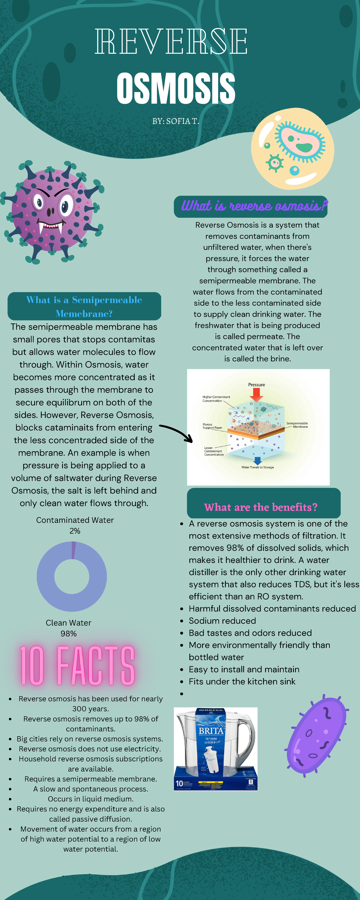 Reverse Osmosis - Clean Water 98% Contaminated Water 2% What Are The 