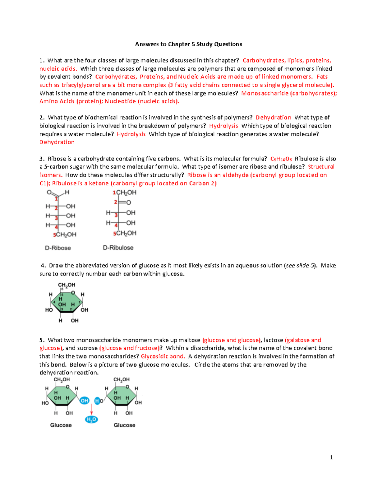 Chapter 5 Study Guide answers - Warning: TT: undefined function: 32 ...