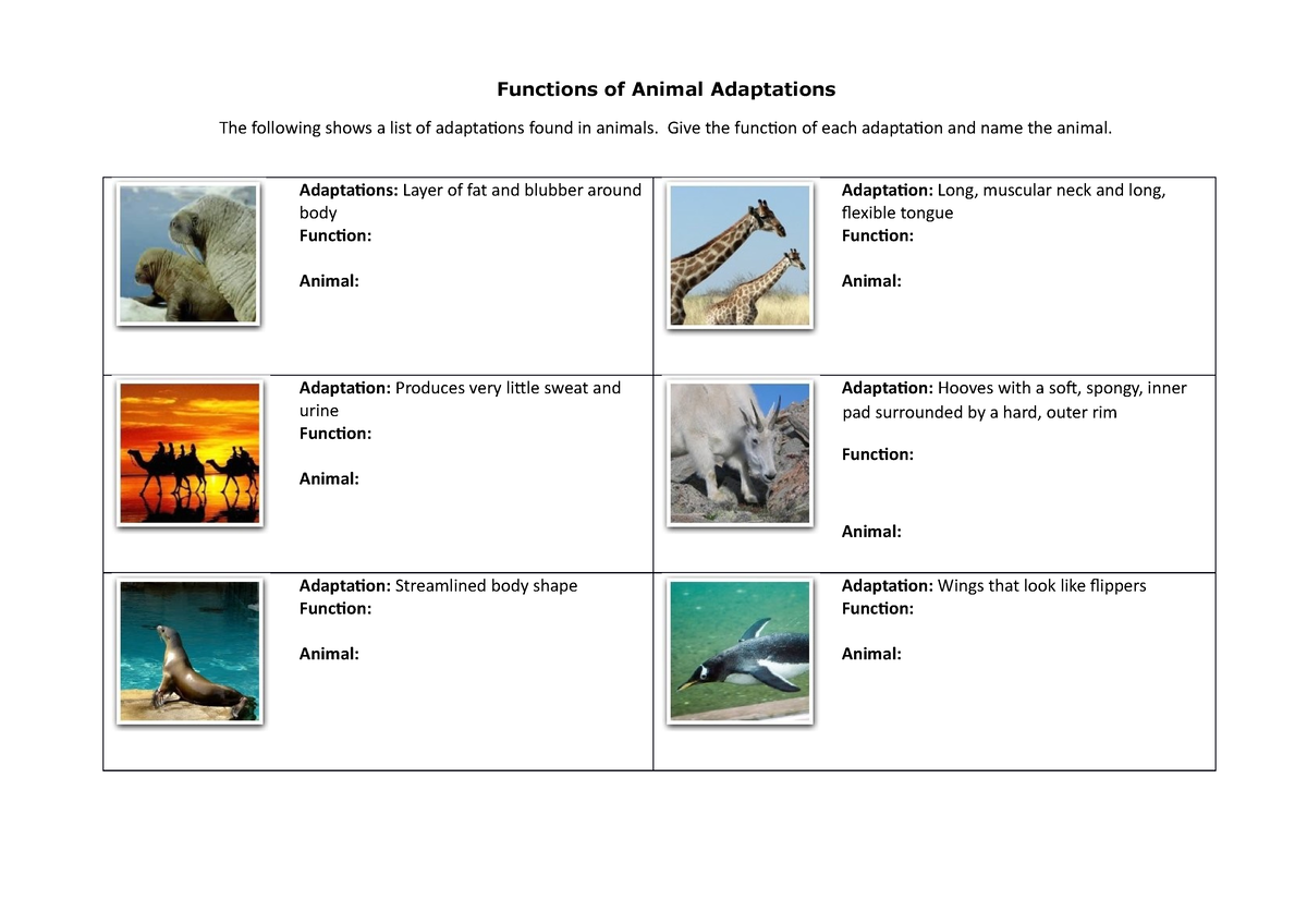Functions of Animal Adaptations - Give the function of each adaptation and  name the animal. - Studocu