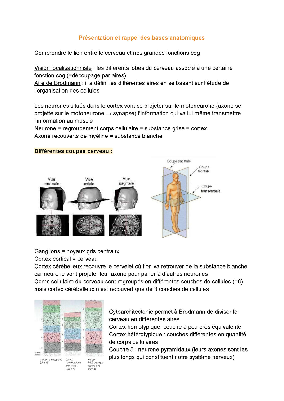 CM1 N - Rappels Anatomiques - Présentation Et Rappel Des Bases ...