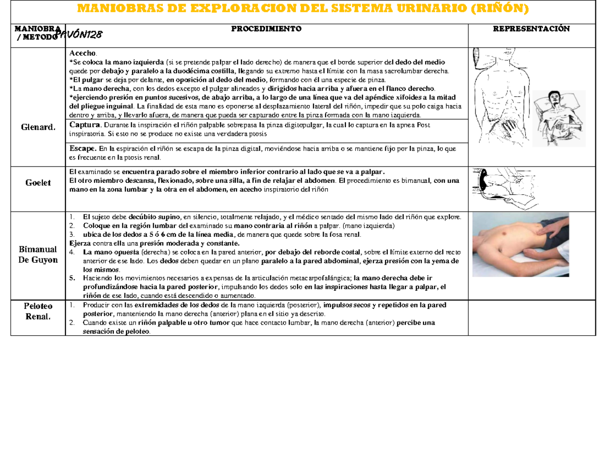 Maniobras DE Exploracion DEL Sistema Urinario - PAVÓN MANIOBRAS DE ...
