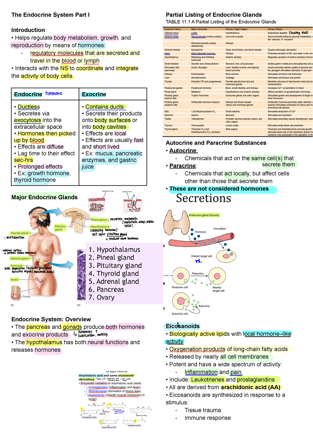 Note 12 - Endocrine System - Lecture Notes - 7KH (QGRFULQH 6\VWHP 3DUW ...