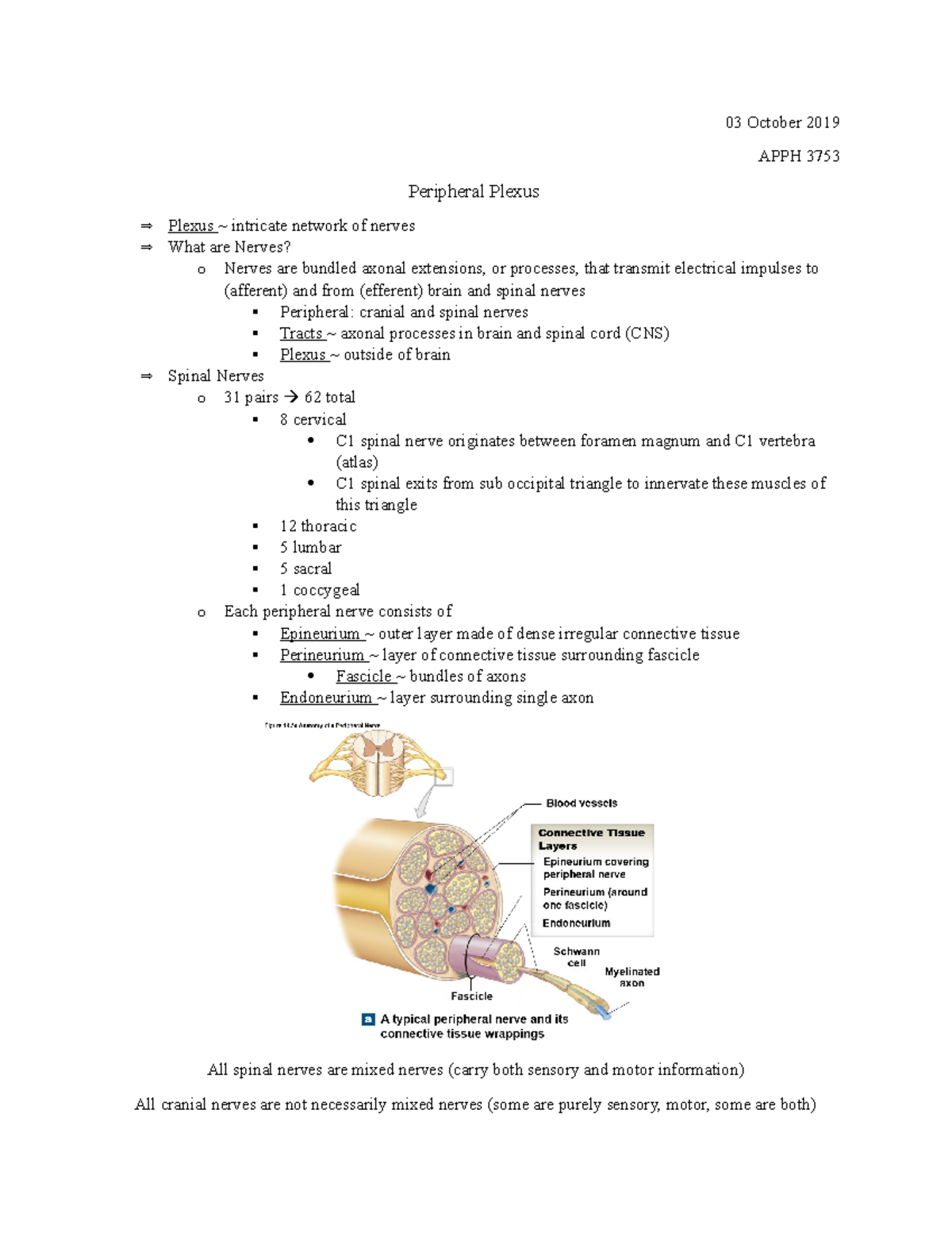 03 October - Peripheral Plexus - 03 October 2019 APPH 3753 Peripheral ...