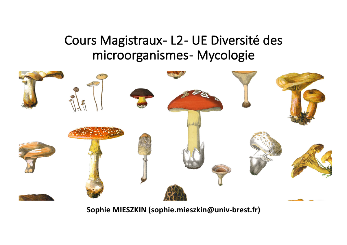 CM1 Mycologie L2 2023 - Cours Magistraux - L2 - UE Diversité Des ...