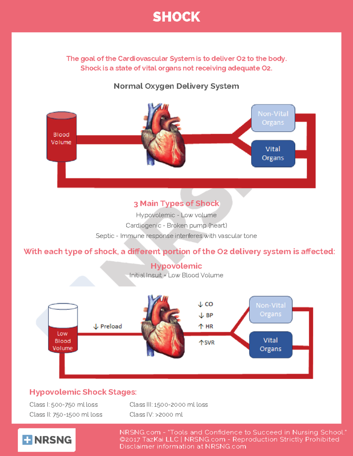 Cardiac-1 - cheat-sheet - NRSNG - “Tools and Confidence to Succeed in ...