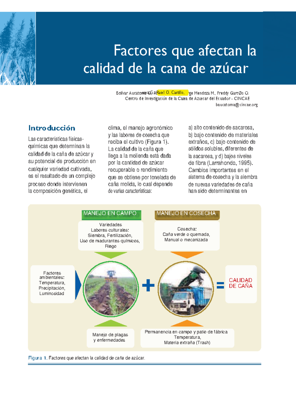 2M S1.1 Factores Que Afectan La Calida De Caña. A - Figura 1. Factores ...