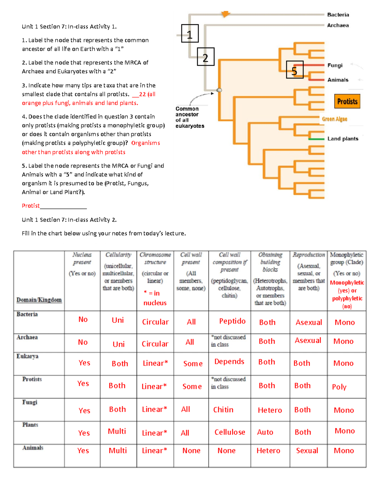 Unit+1+Section+7+Key - Unit 1 Section 7: In-class Activity 1. 1. Label ...