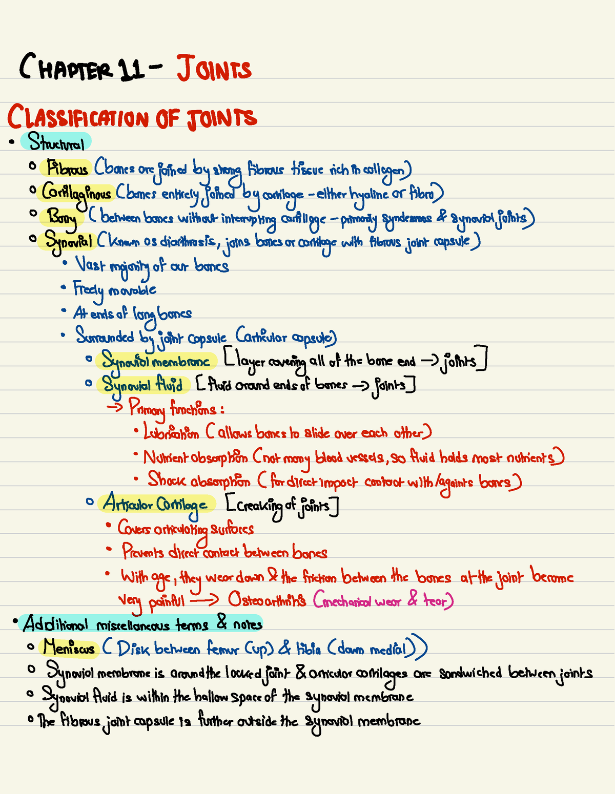 Chapter 11 Pt I - CHAPTER II- JOINTS CLASSIFICATION OF JOINTS ...