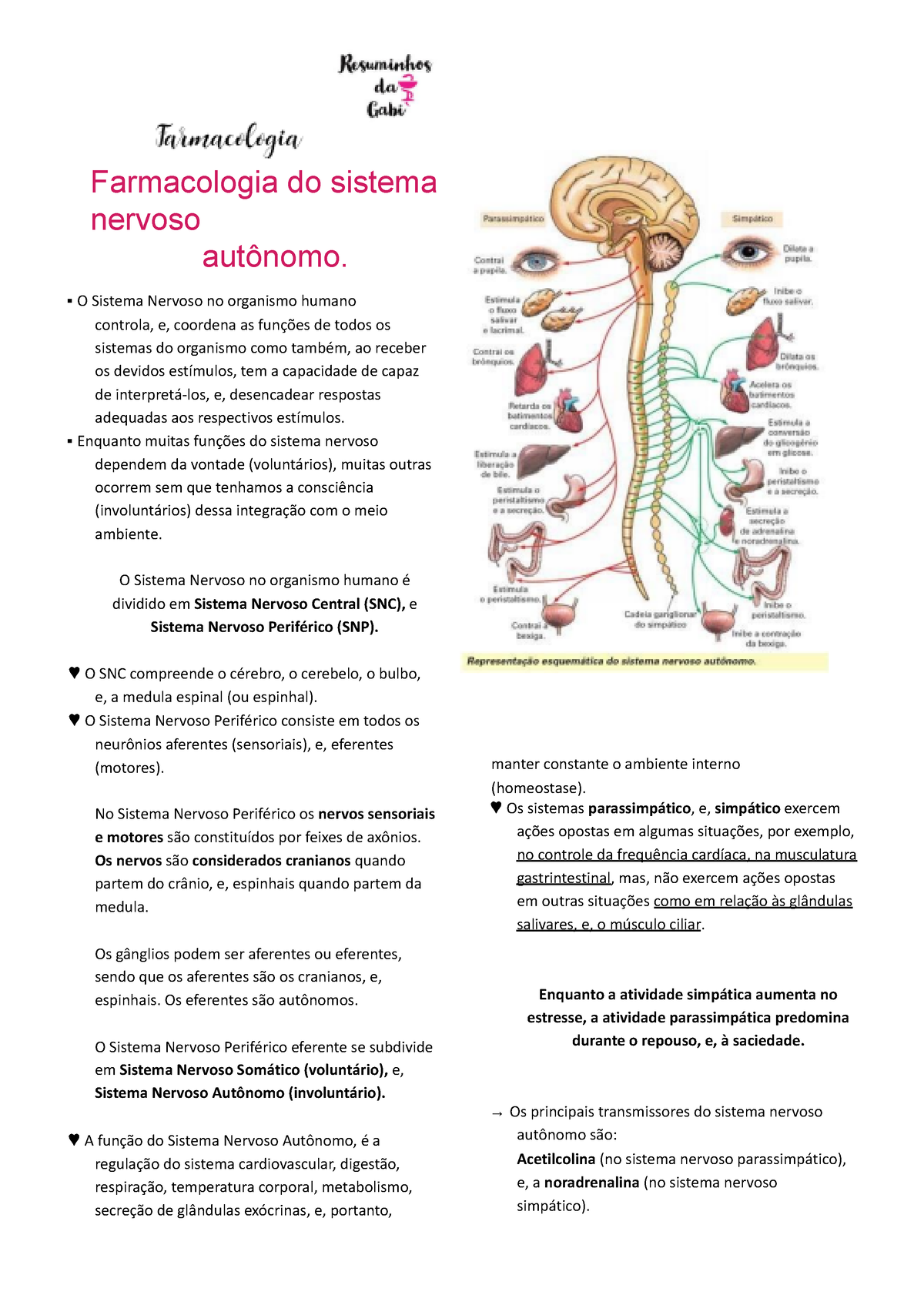 Resumo DE Farmacologia Cardiaca - RESUMO DE Pode ser de dois tipos: 1)  derivada de um problema que - Studocu