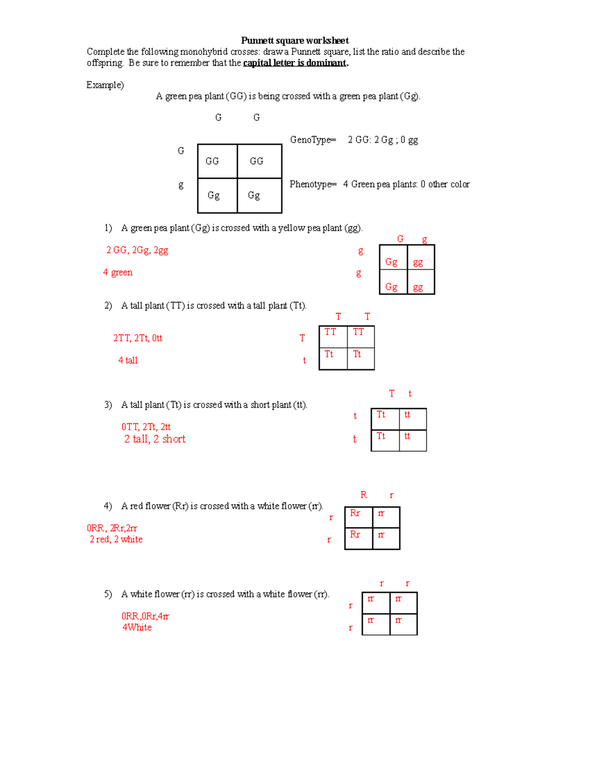 Jimmy PPunnett square worksheet - Punnett square worksheet Complete the  following monohybrid - Studocu