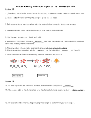 CH 5 Notes Sections 5 - Homework questions - Guided Reading Notes for ...