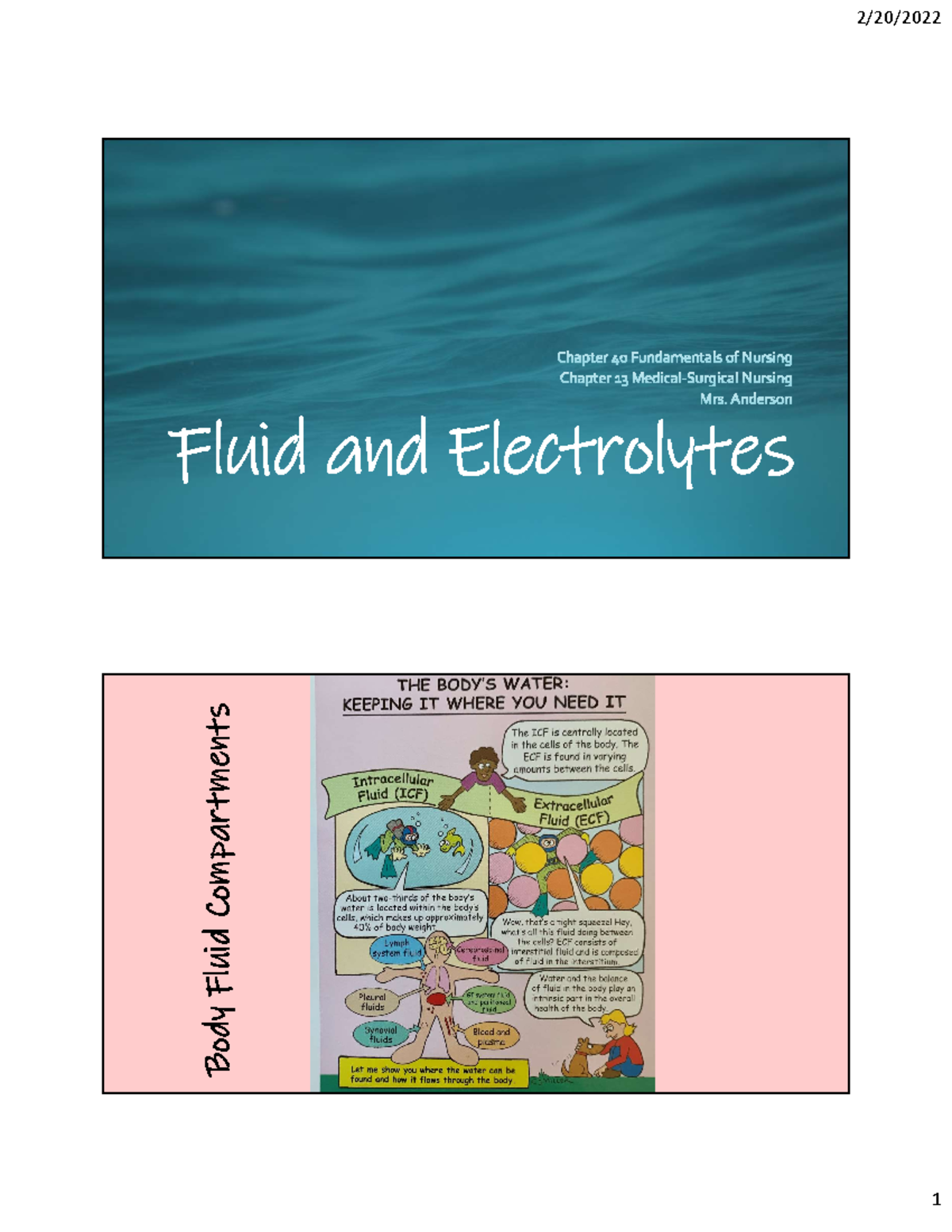 Week 6 - Fluid And Electrolytes - Fluid And Electrolytes B O D Y F Lu 