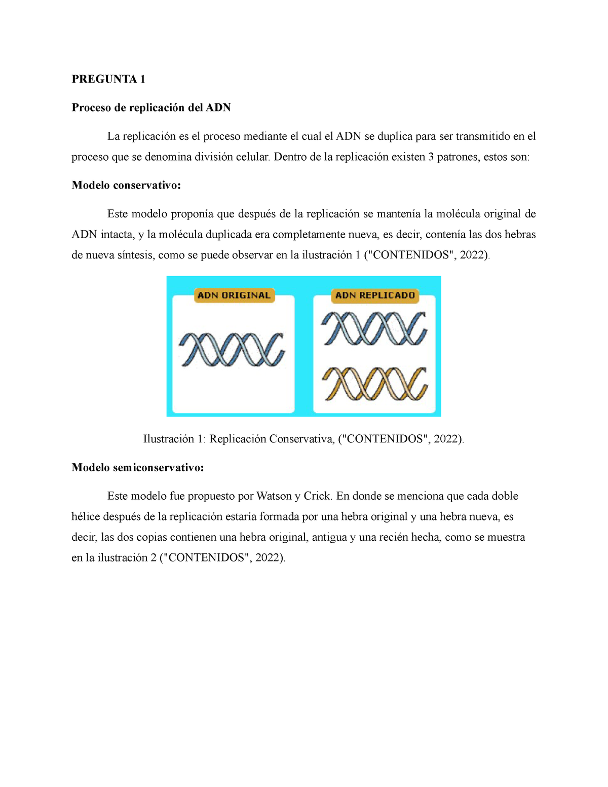 Trabajo biología - Procesos de replicación de ADN - PREGUNTA 1 Proceso de  replicación del ADN La - Studocu