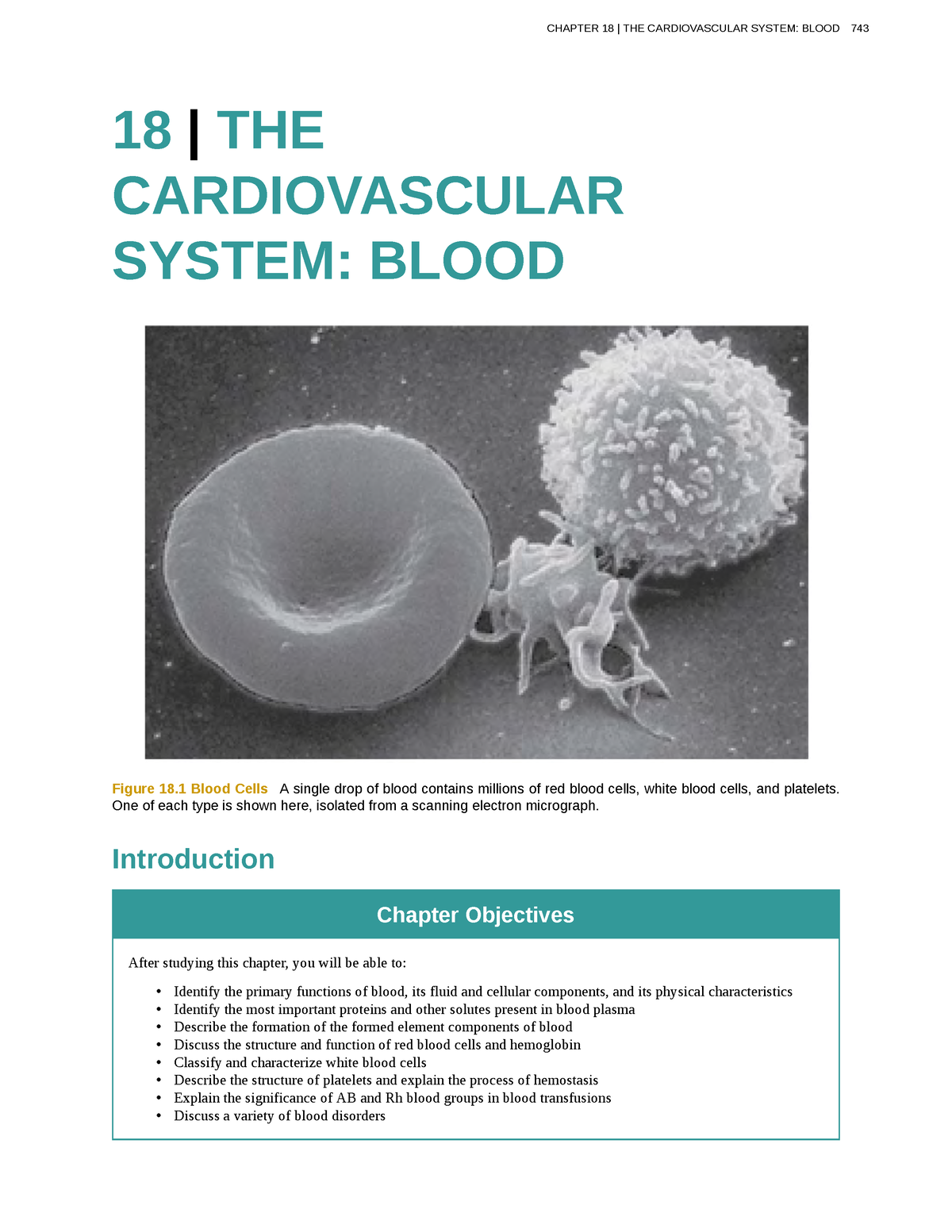 Anatomy-physiology-251 - 18 | THE CARDIOVASCULAR SYSTEM: BLOOD Figure ...