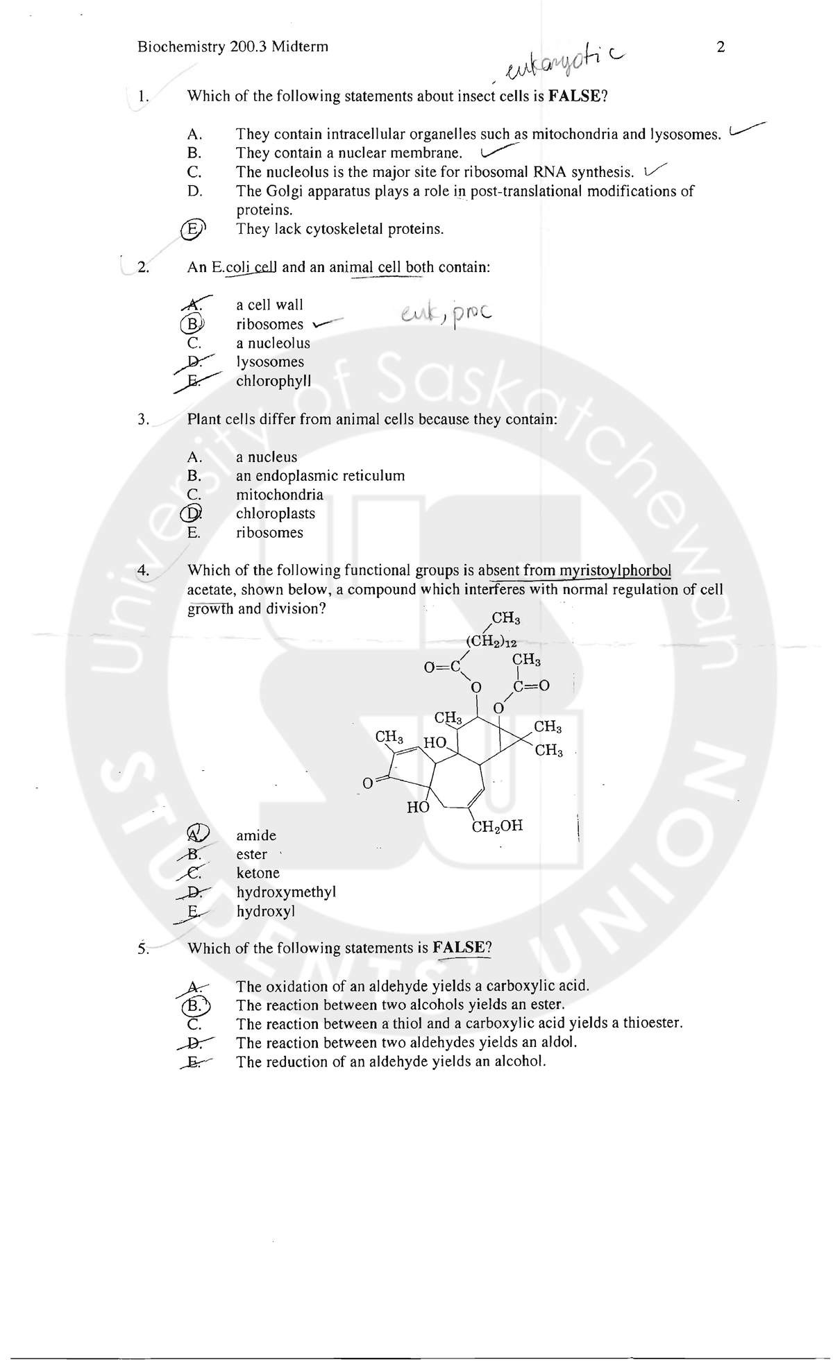 Biomolecules Exam 2005, questions and answers Bmsc 200.3 Studocu