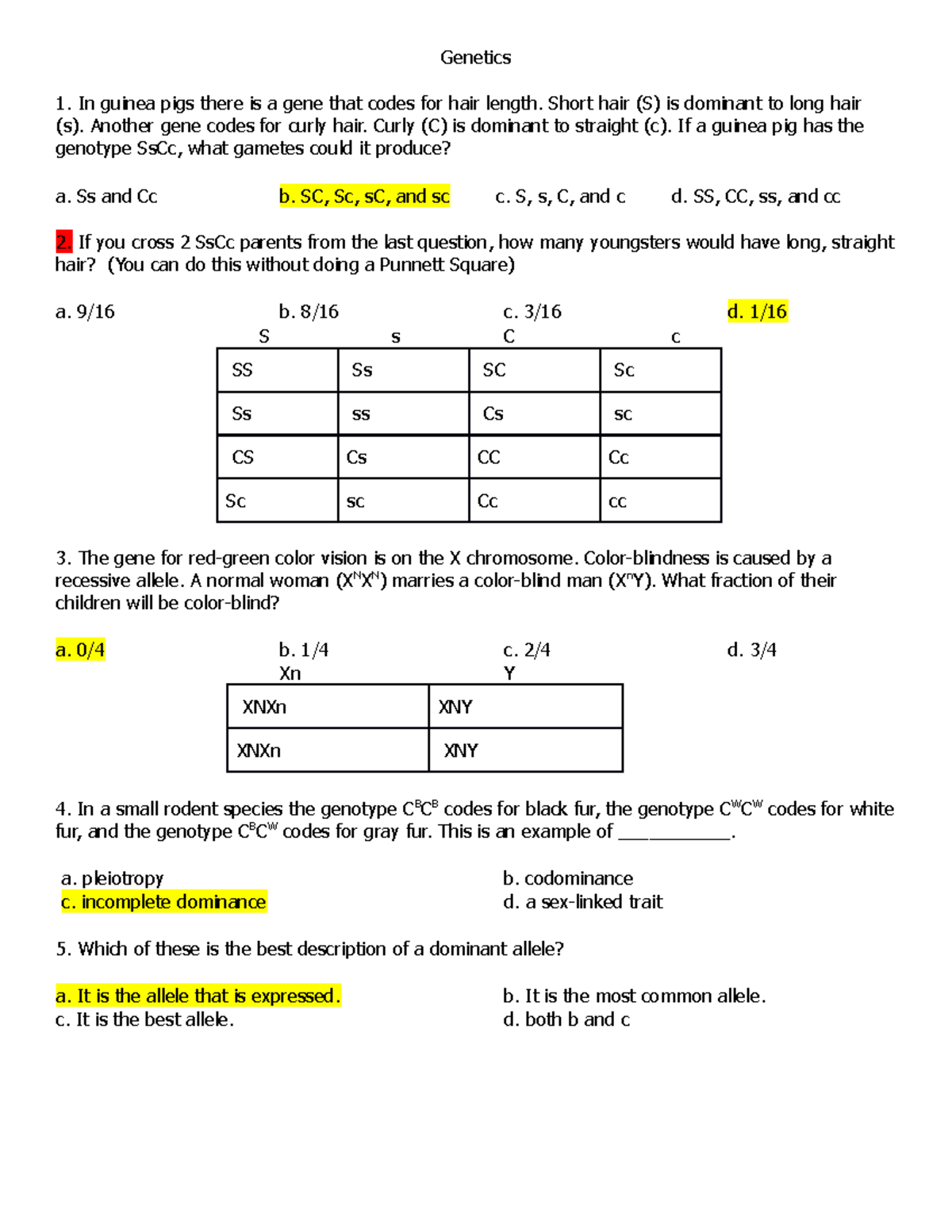 genetics essay questions and answers