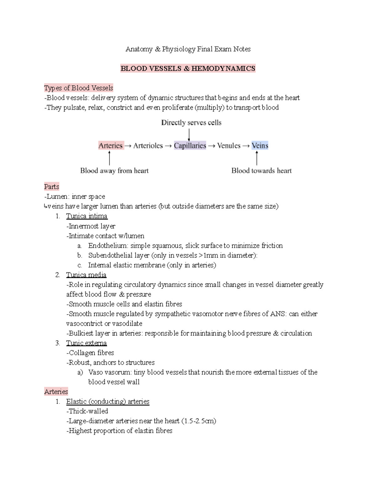 Anatomy And Physiology Final Examfallout 76 Best Fixer Build - jhnnu42