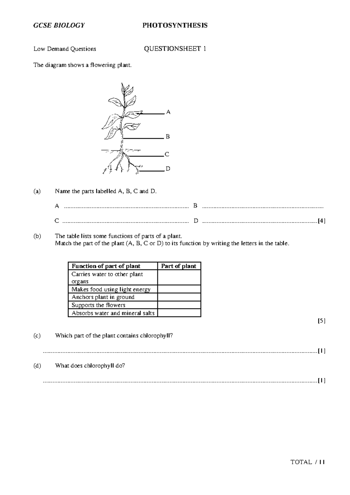 Photosynthesis questions - A B C D Low Demand Questions QUESTIONSHEET 1 ...