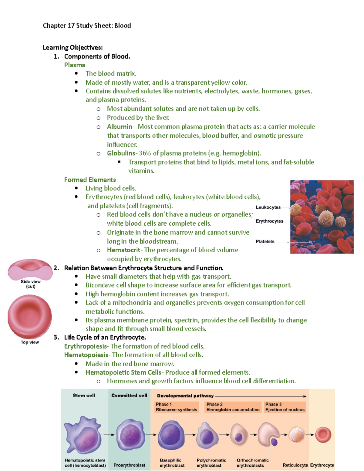 Ch 17 Study Sheet - chapter objectives for midterm and exam - Chapter ...