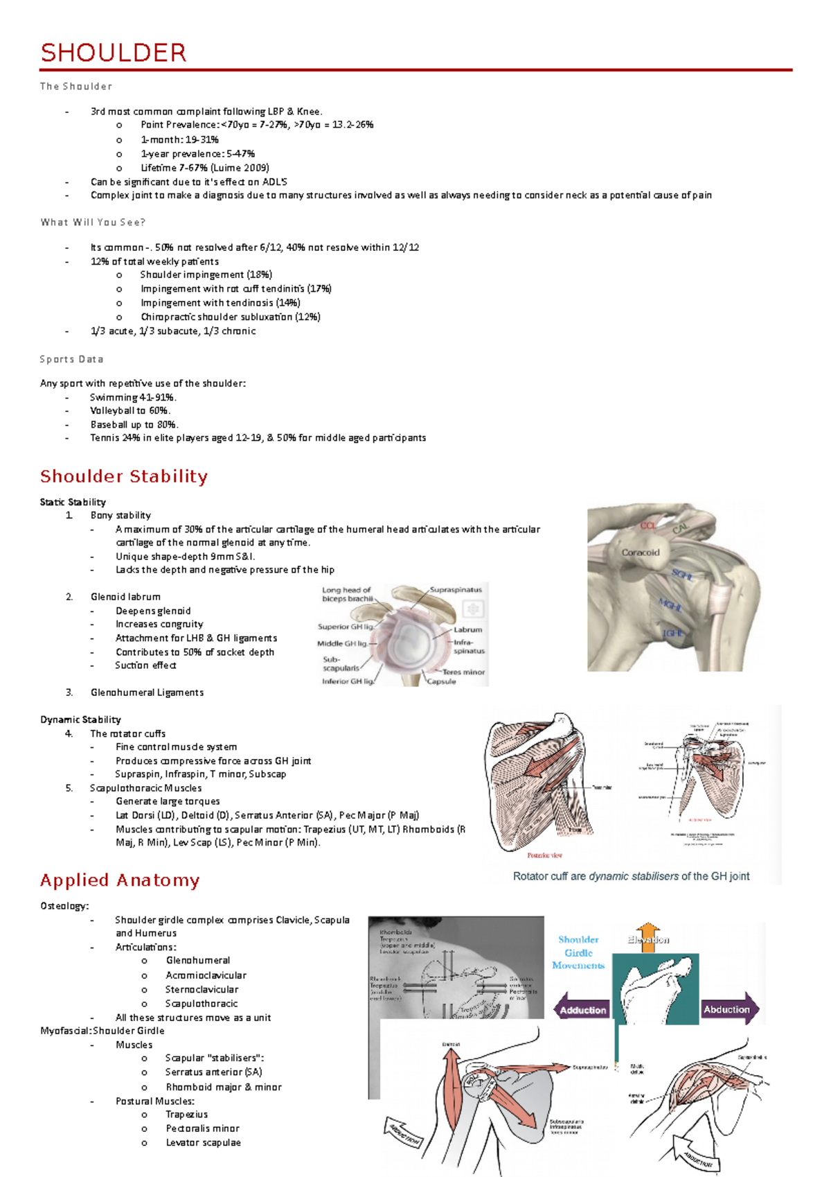 6 - Shoulder - Extremity labs - SHOULDER The Shoulder 3rd most common ...