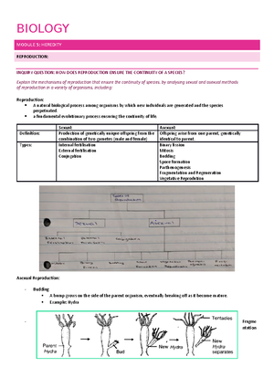 BIOL121 QUIZ B - Practise Exam Materials For Biology121 - Which Of The ...