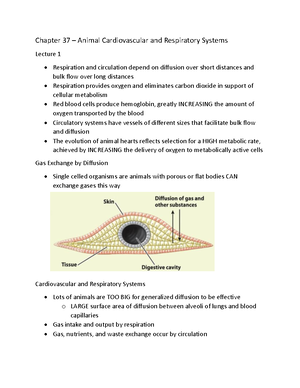 [Solved] During cleavage the mass of cells Question 3 options a ...