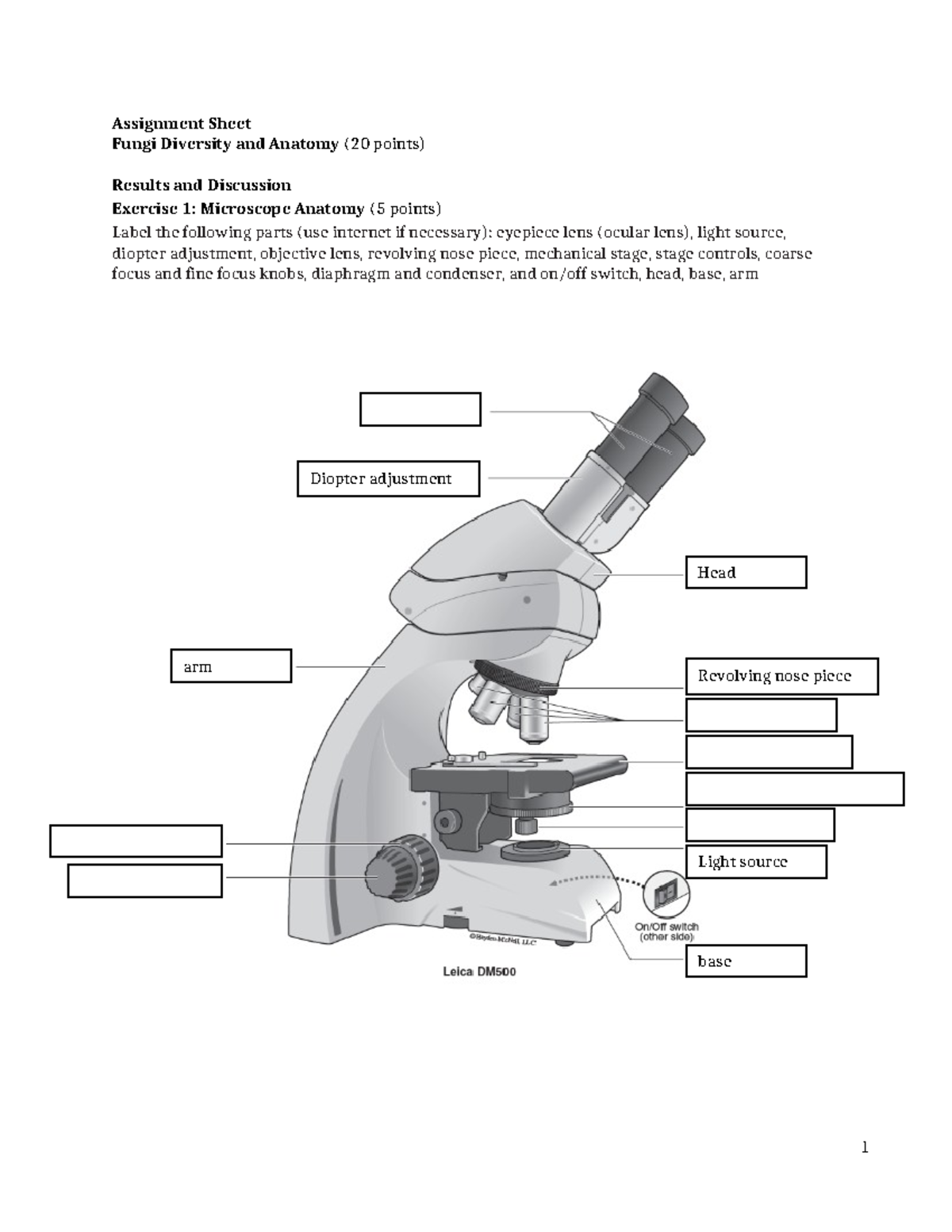 Lab04-Assignment-Fungi (w Microscope) DD2-1 - Assignment Sheet Fungi ...