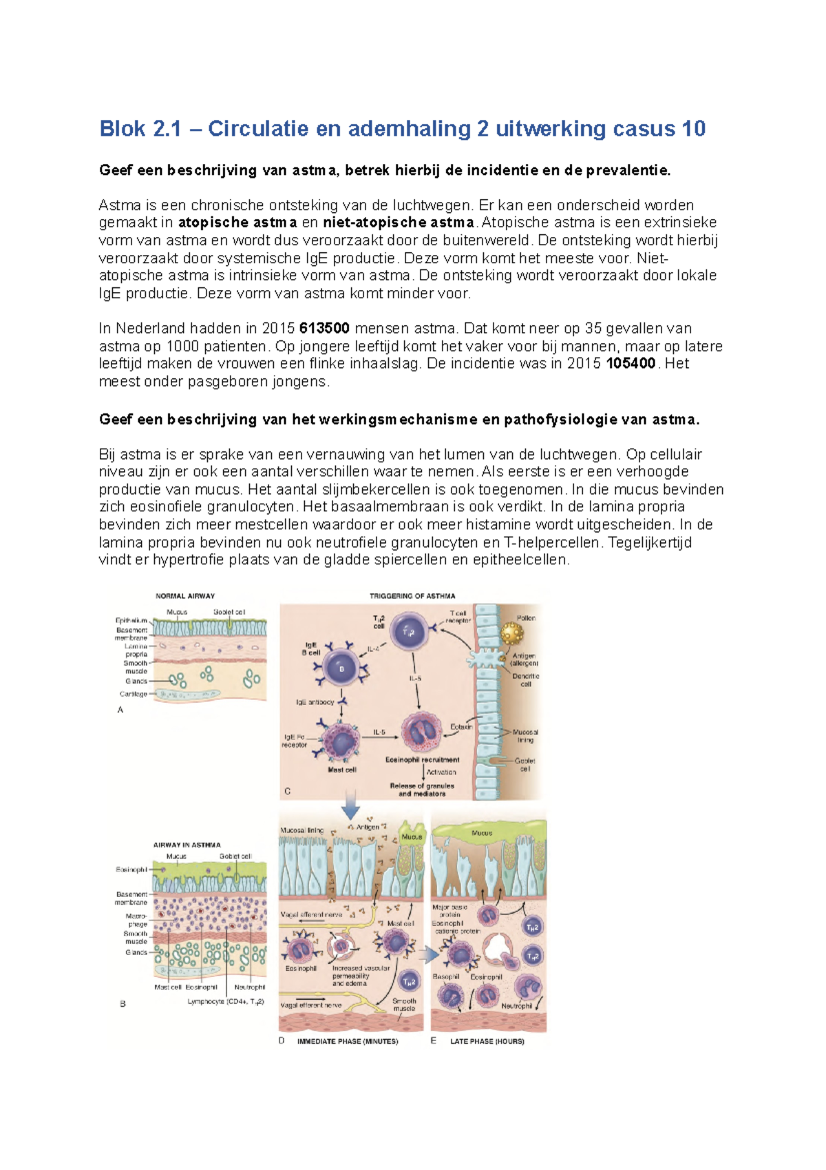 Blok 2 1 Circulatie En Ademhaling 2 Uitwerking Casus 10 Blok 2