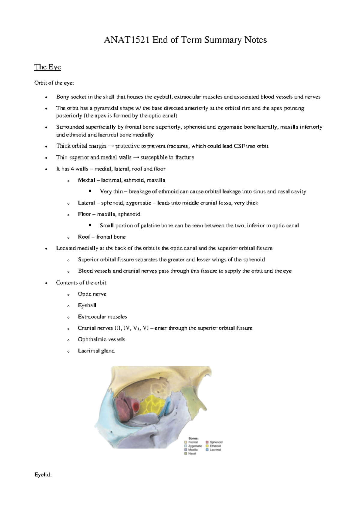 anat1521-end-of-term-summary-26mm-in-length-7mm-in-diameter-o