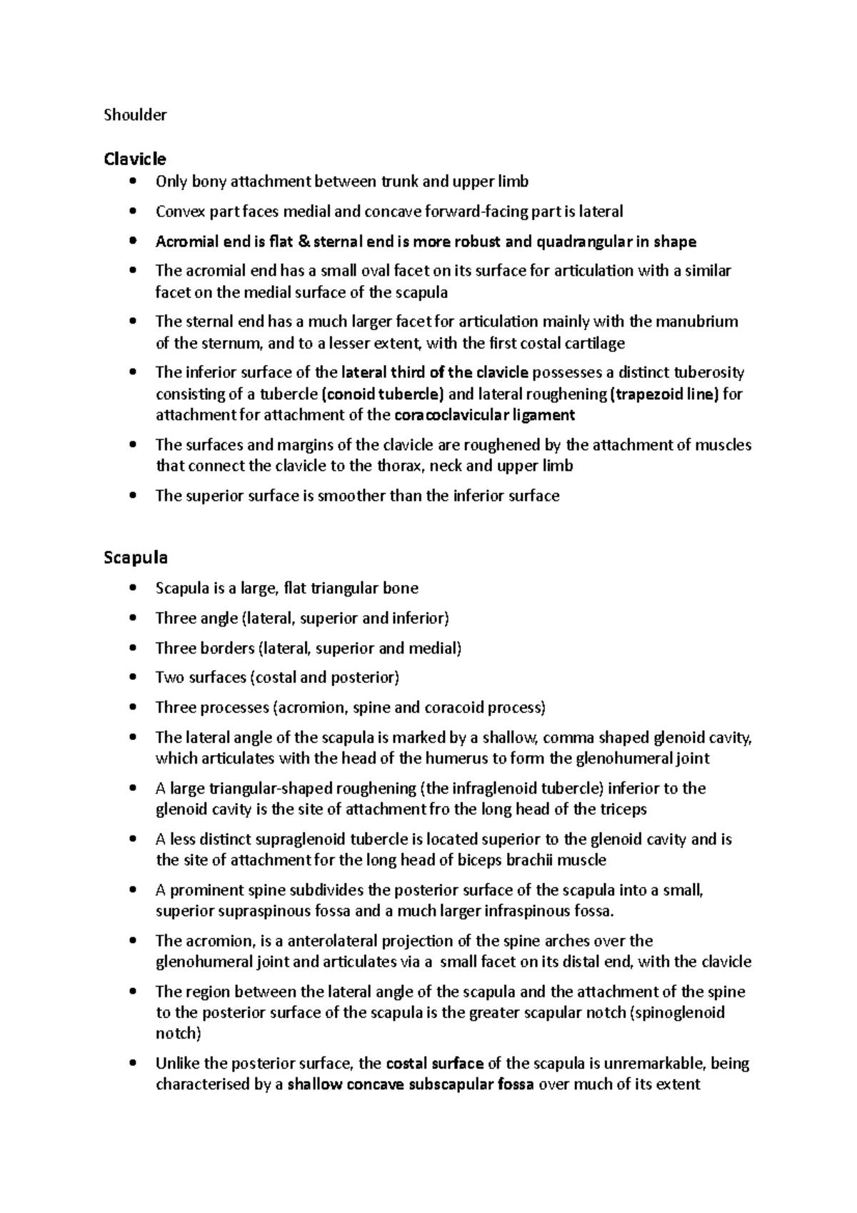 Shoulder - notes - Shoulder Clavicle Only bony attachment between trunk ...