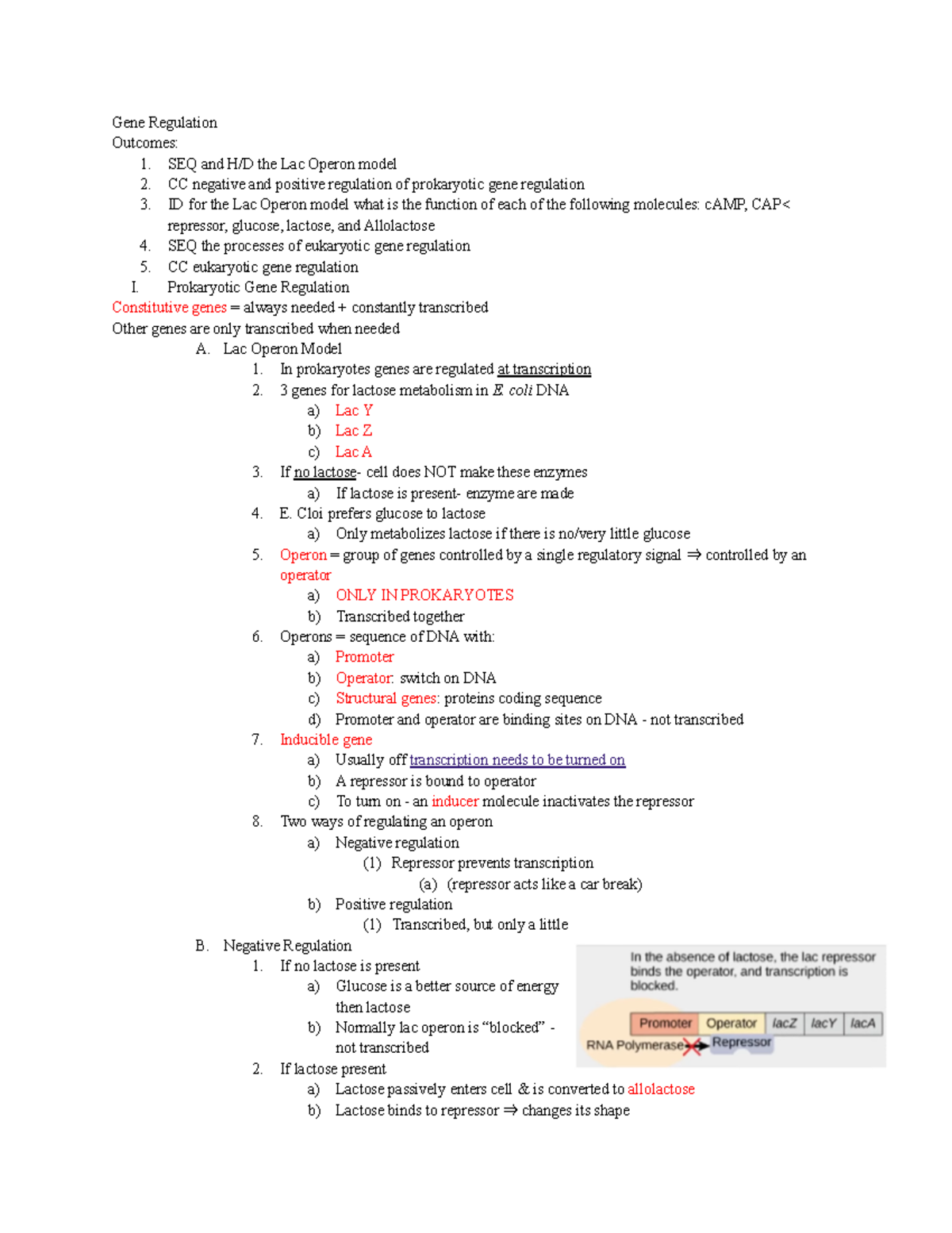 Gene Regulation 1 Copy Lectrue 3 Regulation Lecture 1 Part Tres