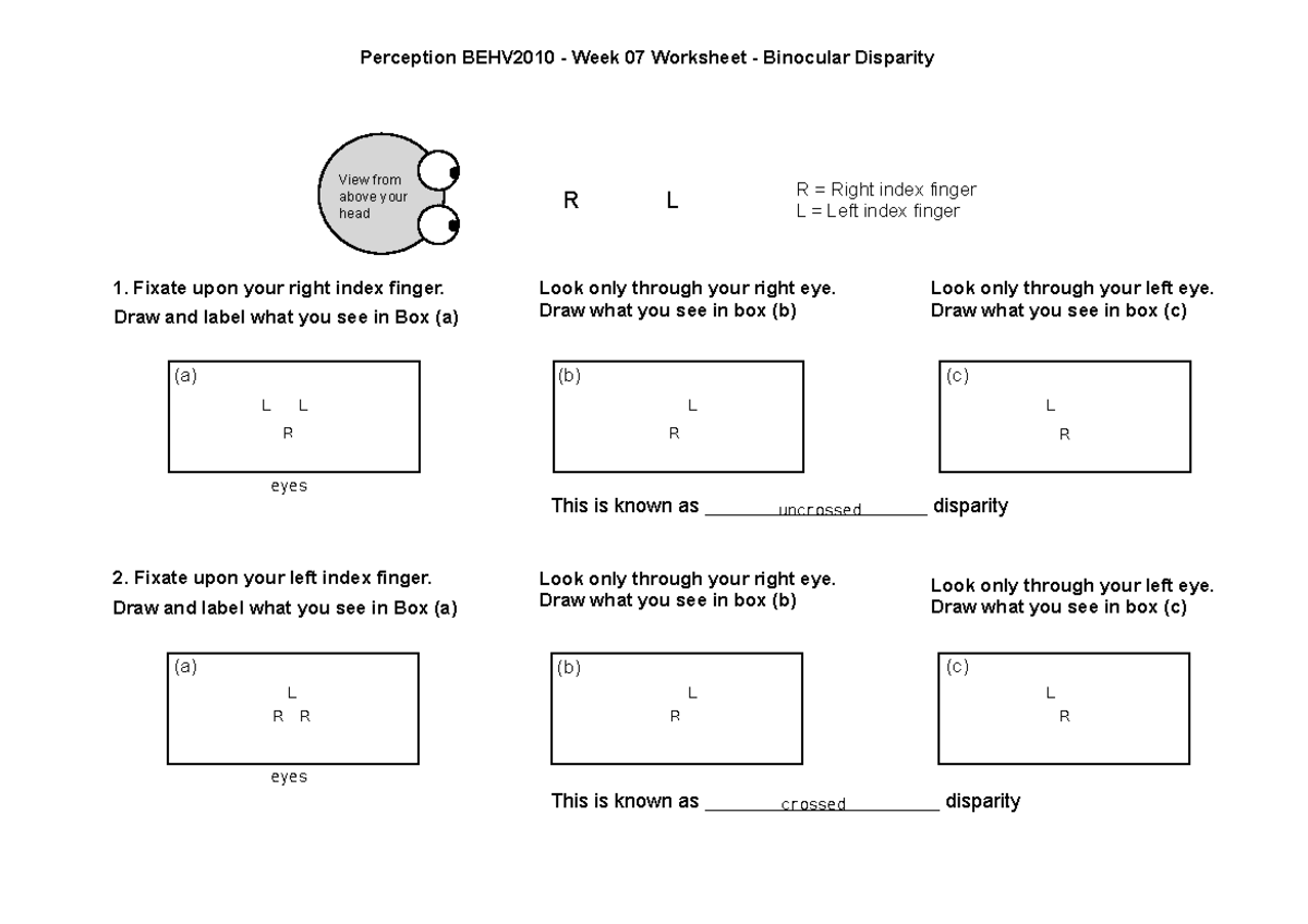 Week 7 Worksheet - Perception BEHV2010 - Week 07 Worksheet - Binocular ...