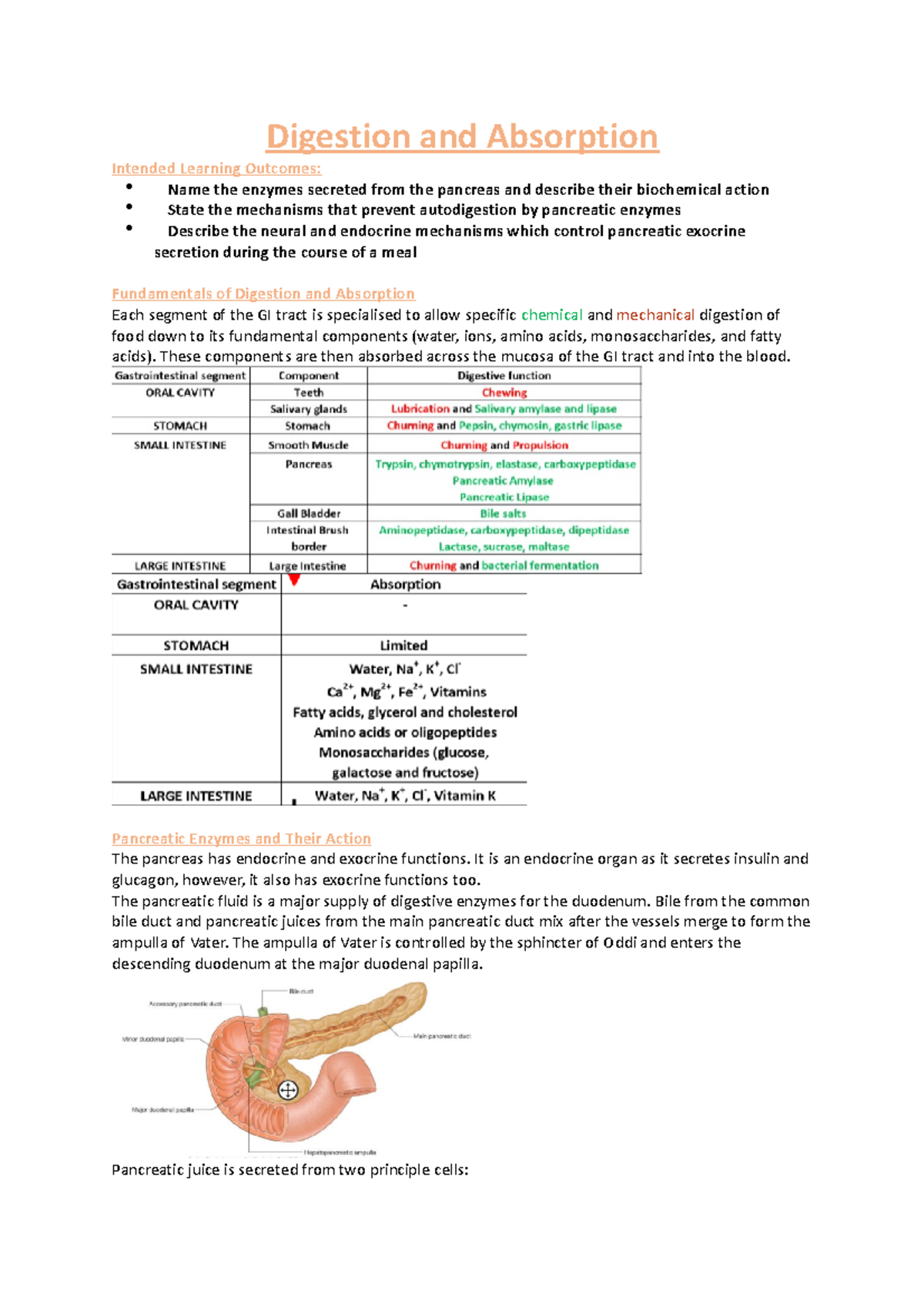 Digestion and Absorption - These components are then absorbed across ...