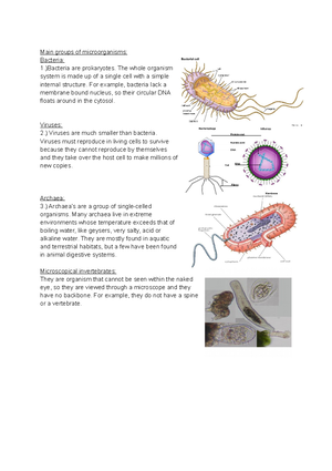 Techniques Used To Identify Microorganisms - M1: Use Techniques To 