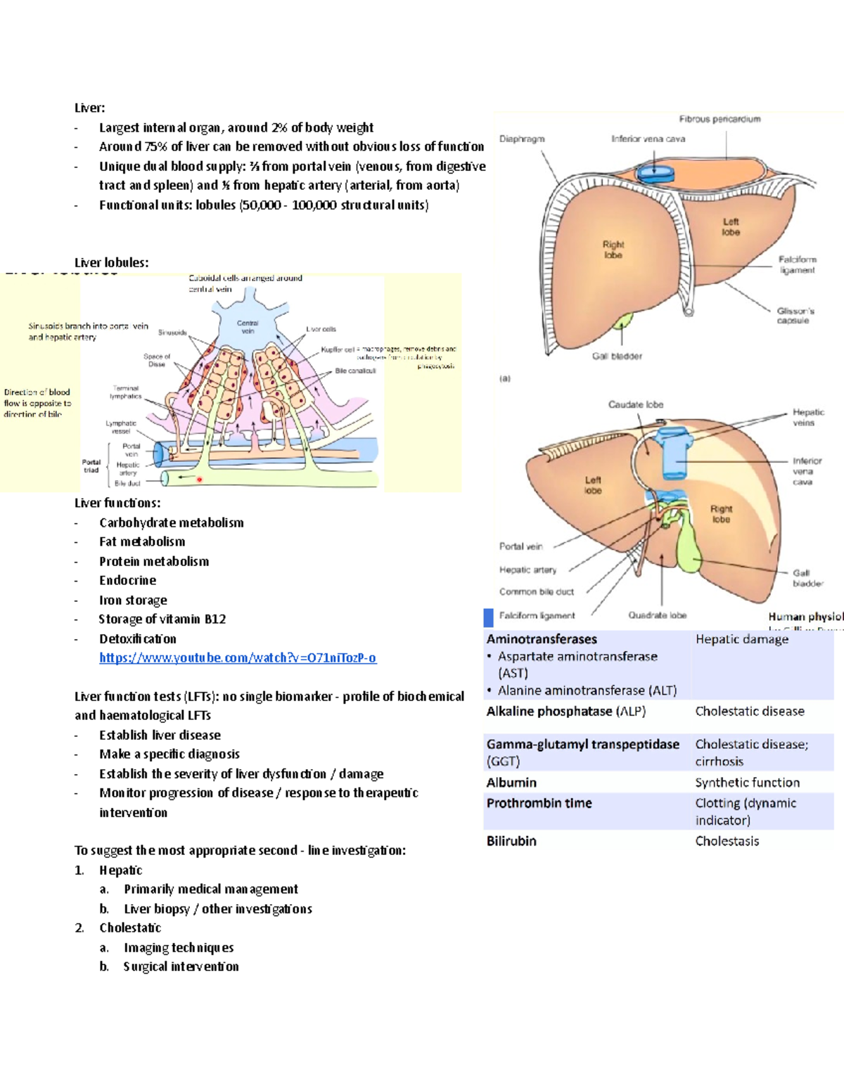 All about Liver Disease - Liver: Largest internal organ, around 2% of ...