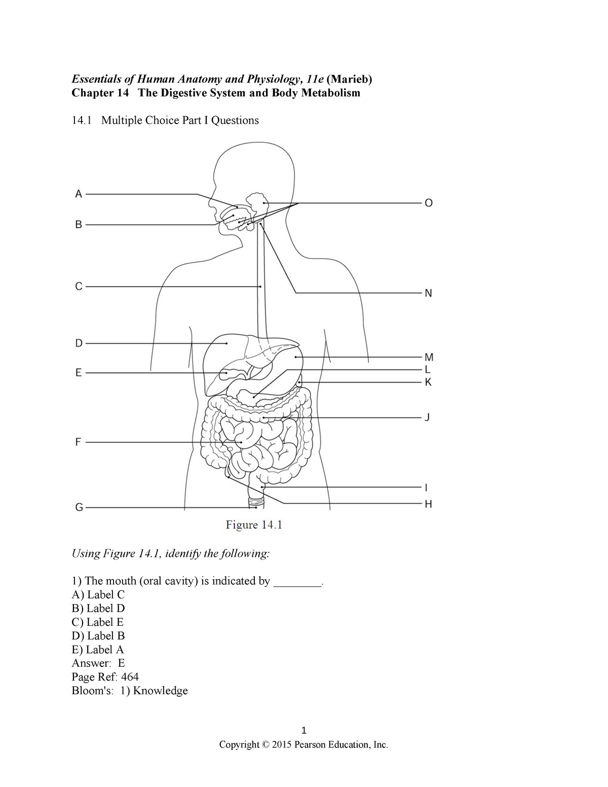 Anatomy And Physiology - 1 Essentials Of Human Anatomy And Physiology ...