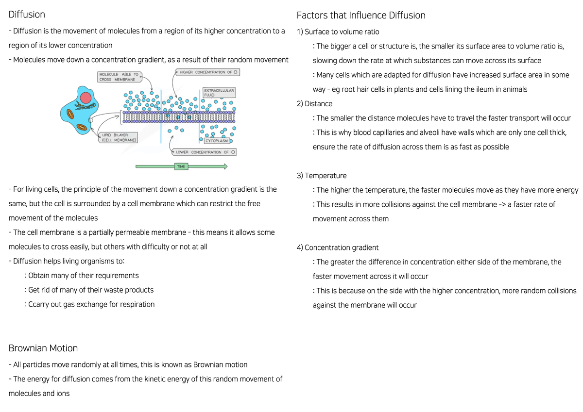 3 -Osmosis -Diffusion-and-Active-Transport - Biology - Studocu