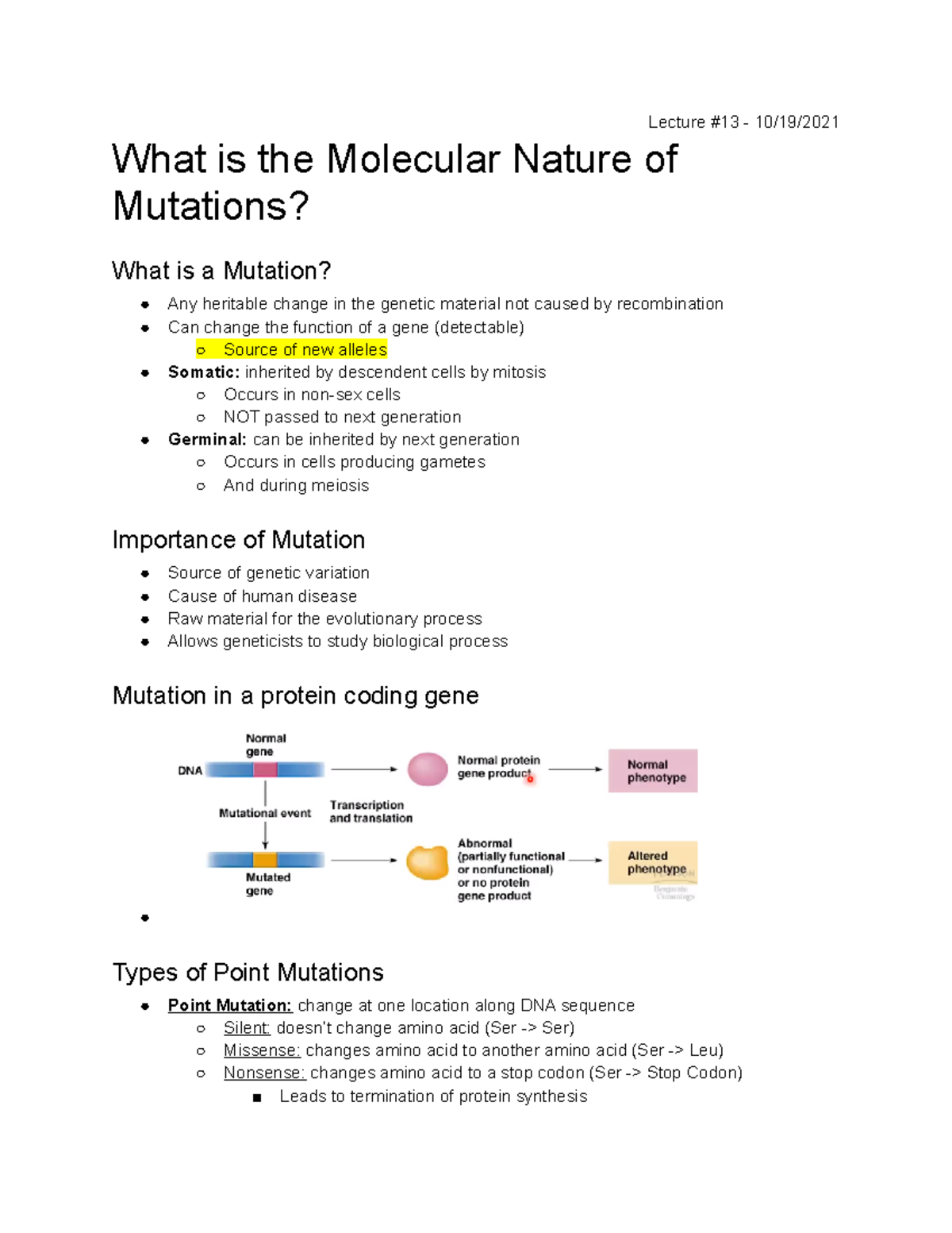 DNA Mutation & Repair Notes (BIO SC 2200) - Lecture #13 - 10/19/ What ...